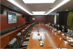 哪個團隊需要高清視頻會議系統？